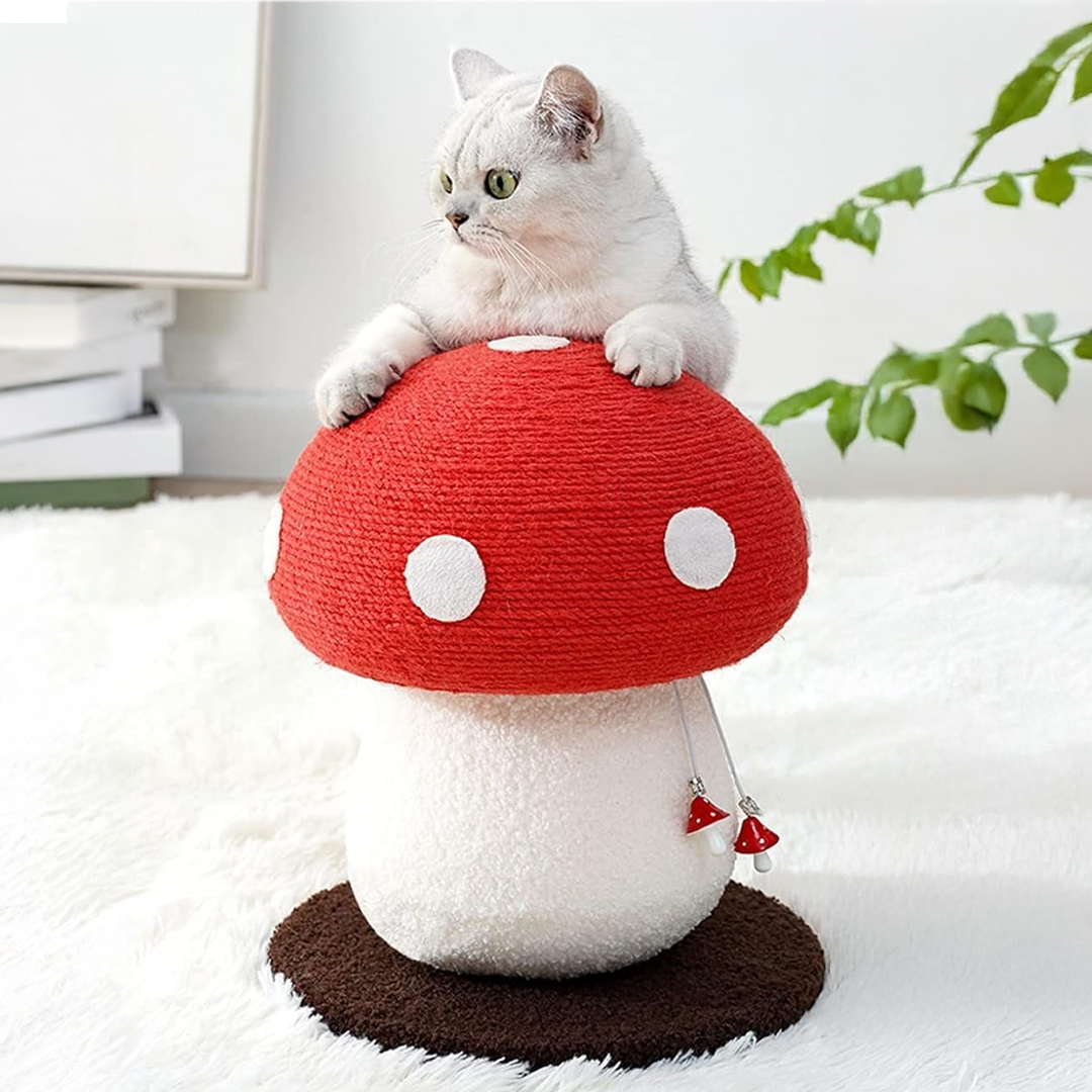 Enchanted Mushroom Cat Scratcher
