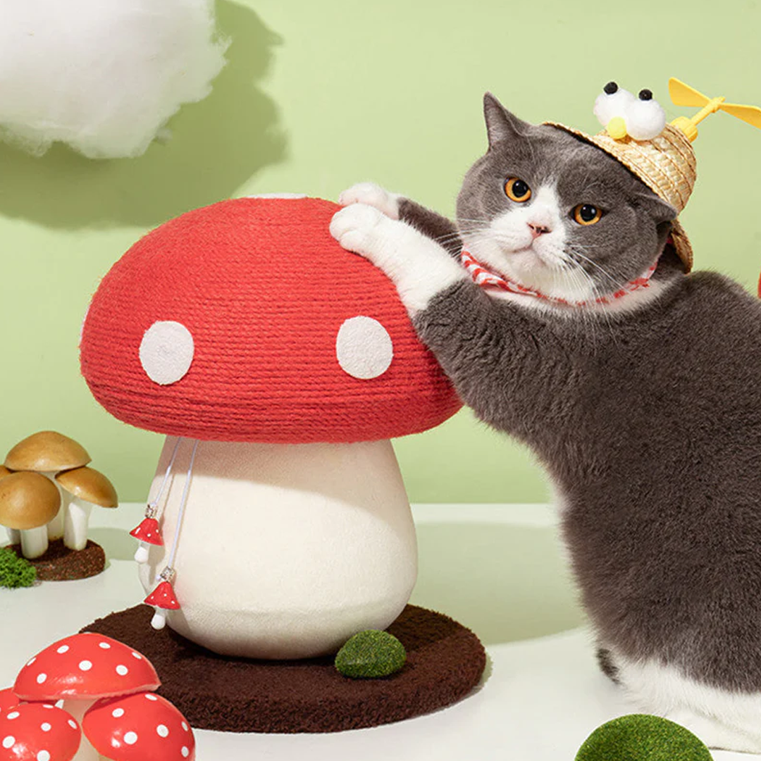 Enchanted Mushroom Cat Scratcher