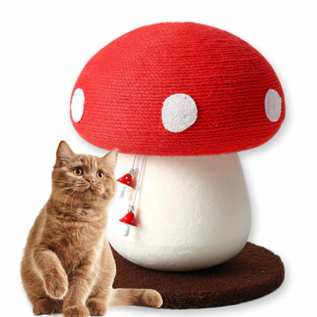 Enchanted Mushroom Cat Scratcher
