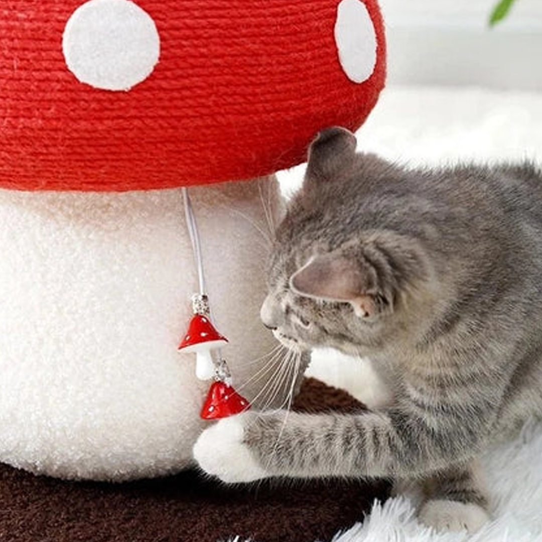 Enchanted Mushroom Cat Scratcher