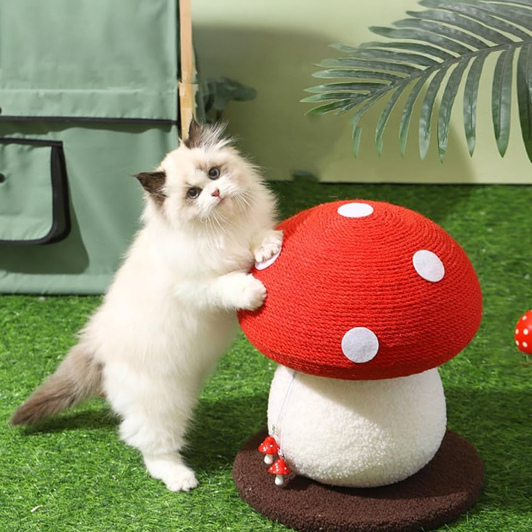 Enchanted Mushroom Cat Scratcher